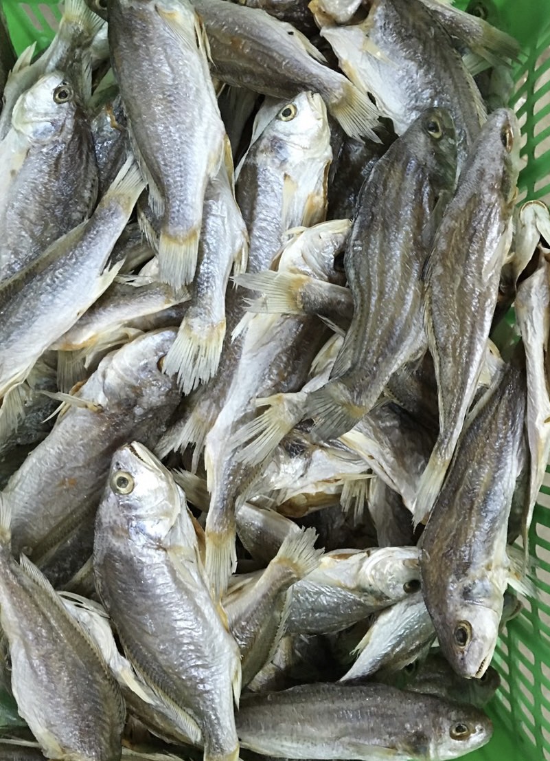 DRIED CROAKER FISH (WHOLE)