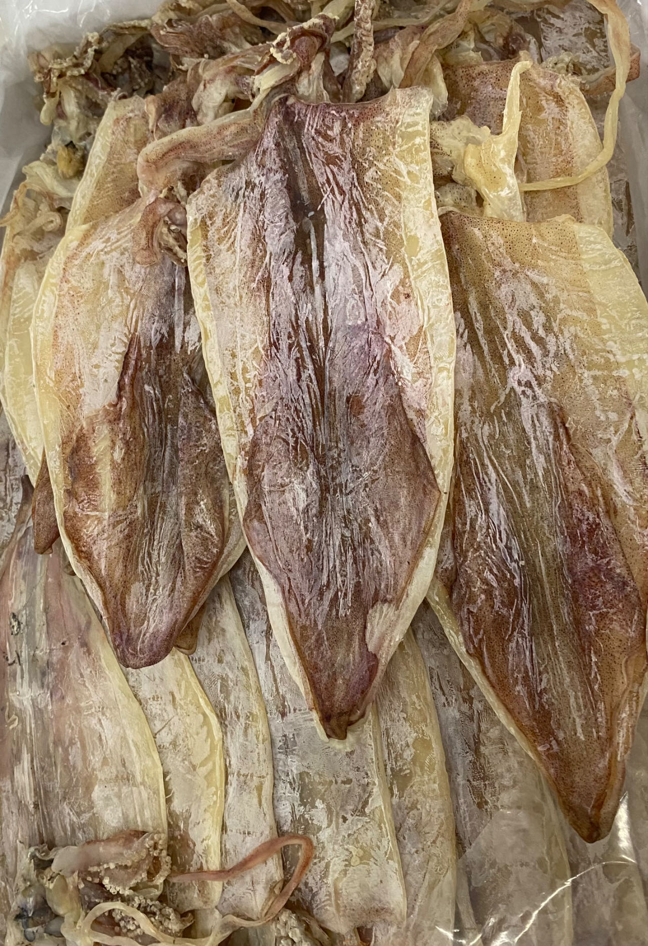 DRIED SQUID BIG SIZE