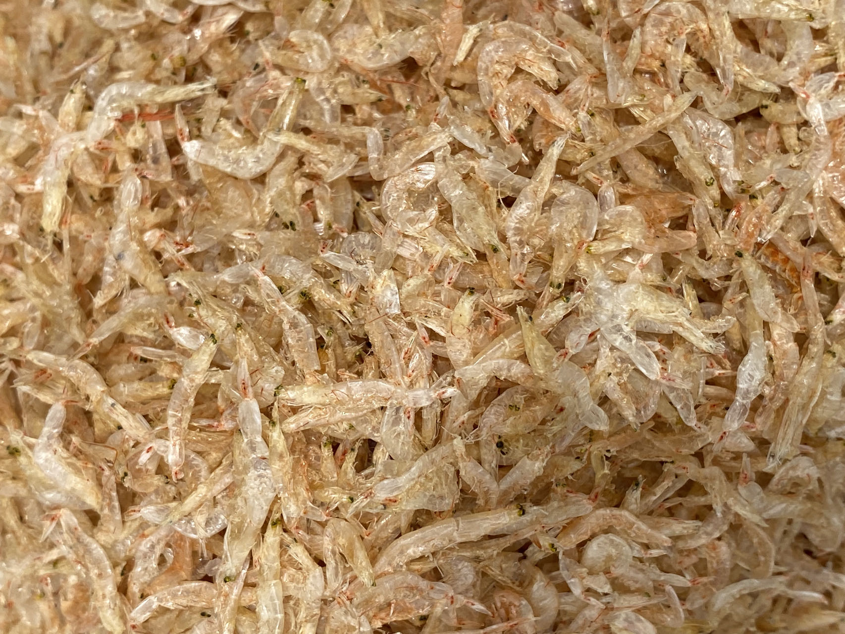 DRIED BABY SHRIMP 