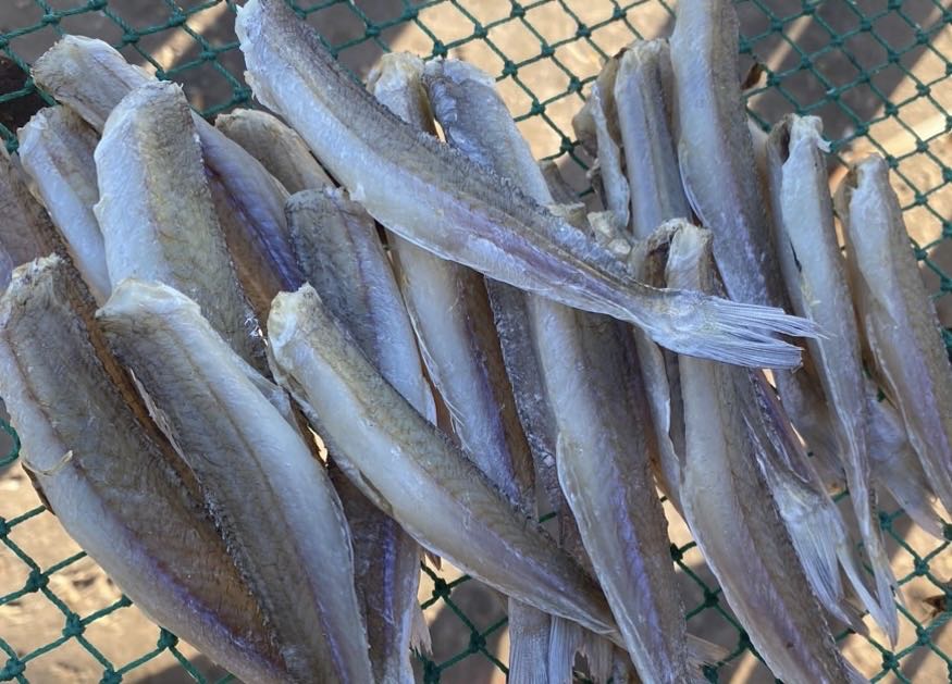 DRIED SILAGO FISH