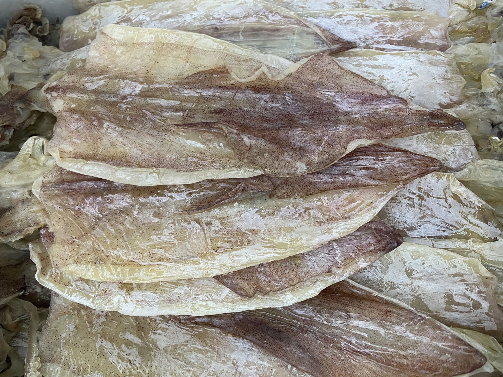 DRIED SQUID 