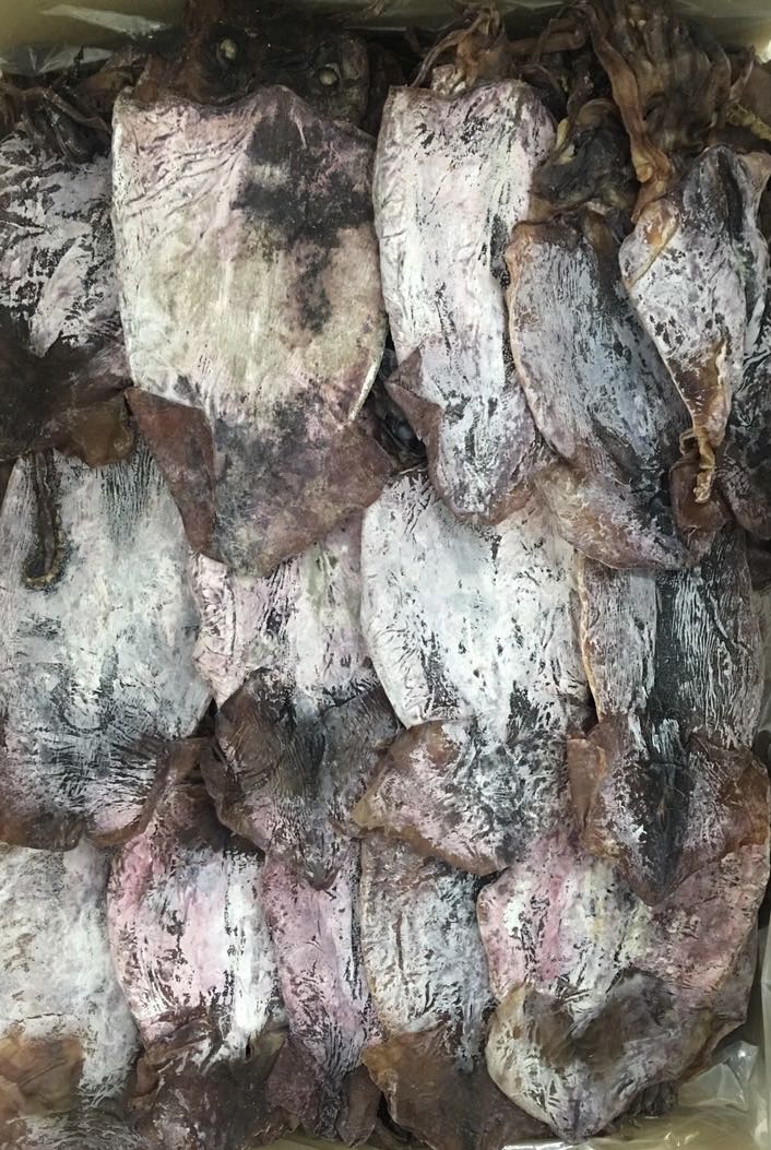 DRIED BLACK SQUID 