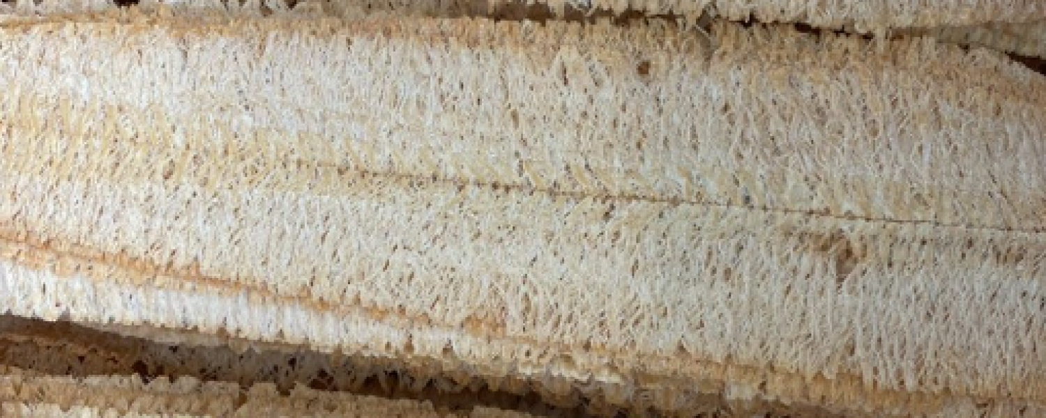 UNSEASONED ROASTED & ROLLED SQUID <br> BY THANH LONG WHOLESALE SUPPLIER