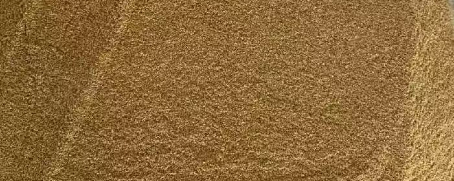 PREMIUM SEAFOOD POWDER <br> BY THANH LONG WHOLESALE SUPPLIER