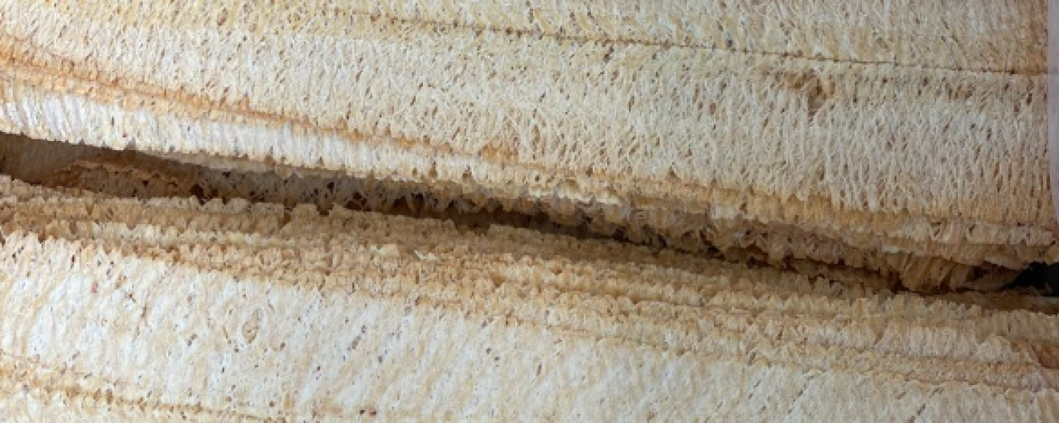 VIETNAM 100% NATURAL ROLLER ROASTED SQUID WHOLESALE SUPPLIER